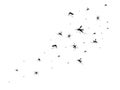 Flying mosquitoes. Black silhouette mosquito, swarm flying insects spreading disease dangerous infection and viruses