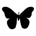 Flying Moth Gynnidomorpha Alisman On a Upper View Silhouette Found In All Around The World. Good To Use For Element Print Book Royalty Free Stock Photo