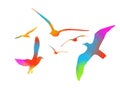 Flying multicolored seagulls. Vector illustration Royalty Free Stock Photo