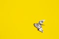 Flying origami dove on yellow background. Origami bird from music paper. Royalty Free Stock Photo