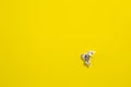 Flying origami dove on yellow background. Origami bird from music paper. Royalty Free Stock Photo