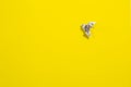 Flying origami dove on yellow background. Origami bird from music paper. Royalty Free Stock Photo
