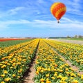 Flying over the farmlands Royalty Free Stock Photo