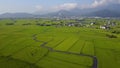 Flying over green rice paddies in Ilan Yilan , Taiwan, with a country road winding through the rice fields