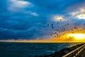 Flying Over the Jetty Royalty Free Stock Photo