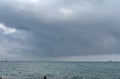 A-10 flying  over Lake Michigan at the Chicago Air Show in the USA Royalty Free Stock Photo