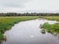 Flying over the swamp with islands of reeds and birds flying over, egrets and heron