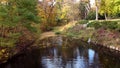 Flying over water surface, lake, swimming ducks park trees yellow falling leaves