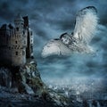 Flying owl bird Royalty Free Stock Photo