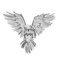 Flying owl. magic. white owl. Postal bird vector illustration Royalty Free Stock Photo