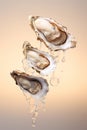 Flying Oysters: Culinary Delights in Motion