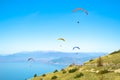 Flying paragliders