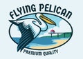 Flying Pelican with beach background