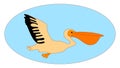 Flying pelican, illustration, vector