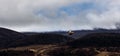 Flying pheasant fleeing away from hunters, Aviemore, Scotland, United Kingdom Royalty Free Stock Photo