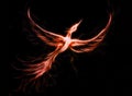 Flying phoenix bird as symbol of rebirth and new beginning.