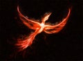 Flying phoenix bird as symbol of rebirth and new beginning.