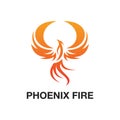 Flying Phoenix Fire Bird abstract Logo design vector template. Dove Eagle Logotype concept icon. Vector high quality design concep Royalty Free Stock Photo