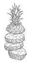 Flying pieces of fresh pineapple. Vintage engraving black monochrome illustration.