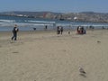 Flying Pigeons Seagull and Pelicans above Cloudy Sea Breakwater Esplanade Beach Ensenada Sea Waves Blue Sky Royalty Free Stock Photo