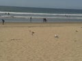 Flying Pigeons Seagull and Pelicans above Cloudy Sea Breakwater Esplanade Beach Ensenada Sea Waves Blue Sky Royalty Free Stock Photo