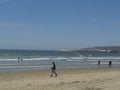 Flying Pigeons Seagull and Pelicans above Cloudy Sea Breakwater Esplanade Beach Ensenada Sea Waves Blue Sky