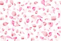 Flying pink japan sakura, cherry or rosa petals vector seamless romance pattern Royalty Free Stock Photo