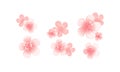 Flying pink peach flowers isolated on white background. Apple-tree flowers. Cherry blossom. Border. Horizontal. Vector Royalty Free Stock Photo