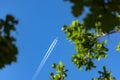 Flying plane in the blue sky Royalty Free Stock Photo