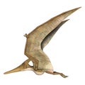 Flying Pteranodon