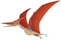 Flying Pteranodon Dinosaur