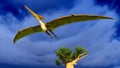 Flying pterodactyl Royalty Free Stock Photo