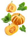 Flying pumpkin whole and cut in half with leaf isolated Royalty Free Stock Photo