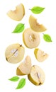 Flying quinces isolated on white background with shadow. Clipping path Royalty Free Stock Photo