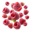 Flying raspberries Royalty Free Stock Photo