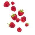 Flying raspberries isolated on white background. Sweet ripe fresh delicious raspberry, summer berry, organic food, vitamins. Royalty Free Stock Photo