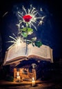 Flying rose with sparkles and old book Royalty Free Stock Photo
