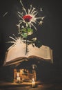 Flying rose with sparkles and old book Royalty Free Stock Photo