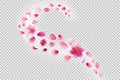 flying sakura petals. Flower decoration on transparent background.