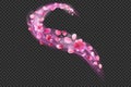 flying sakura petals. Shiny Flower decoration on transparent black png background.