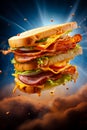Flying sandwich. Flying layers of sandwich. Well roasted patty, Ham, cheese and vegetables between two halves of an. American
