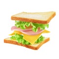 Flying sandwich isolated Royalty Free Stock Photo