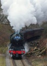 Flying Scotsman Royalty Free Stock Photo