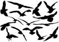 Flying sea-gulls illustration Royalty Free Stock Photo