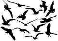 Flying sea-gulls illustration Royalty Free Stock Photo