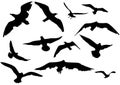 Flying sea-gulls illustration Royalty Free Stock Photo