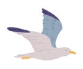 Flying Seagull as Seabird and Traditional Istanbul Symbol Vector Illustration