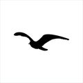 Flying Seagull Bird black silhouette isolated on white background Royalty Free Stock Photo