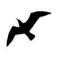 Flying Seagull Bird black silhouette isolated on white background. illustration Royalty Free Stock Photo