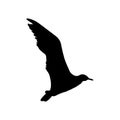 Flying Seagull Bird black silhouette isolated on white background. illustration Royalty Free Stock Photo